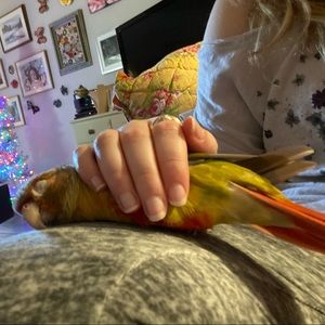 Meet your Posher, Liz